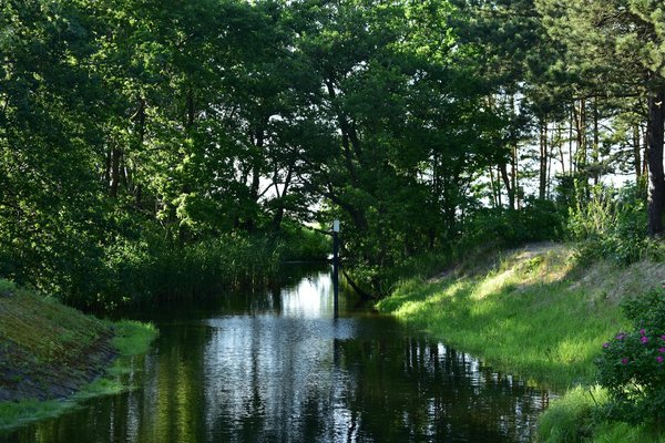 Mastering Complex Surgeries: The Revolutionary Role of Virtual Reality Training for Medical Students